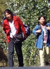 一级特黄牲大片免费视频